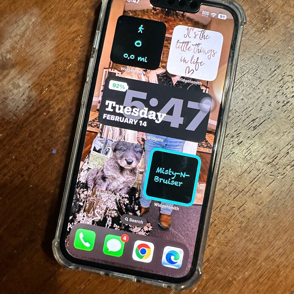 Few months old. Decided to upgrade to the 14 pro max. No charger, no box.